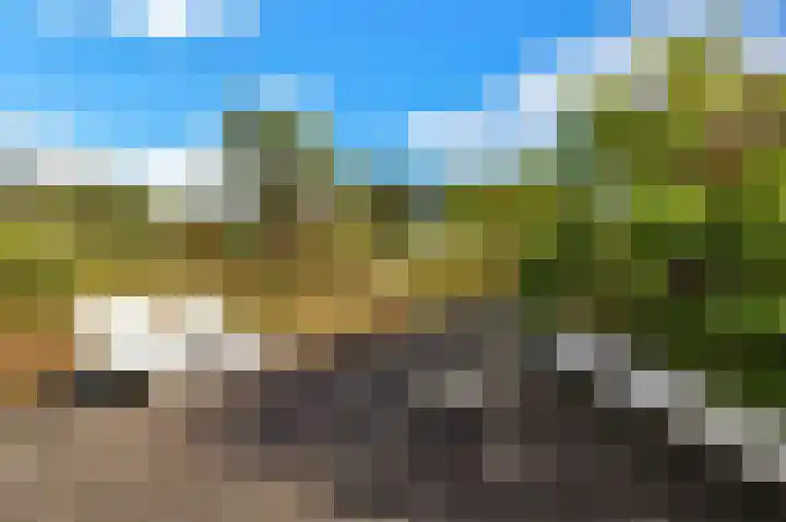 Groenedijk 36 Ouddorp thumbnail 32