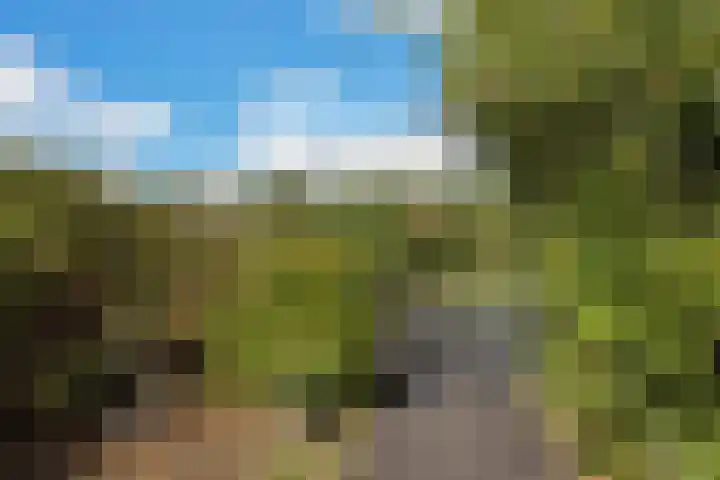 Groenedijk 36 Ouddorp thumbnail 35