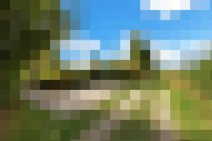 Groenedijk 36 Ouddorp thumbnail 36