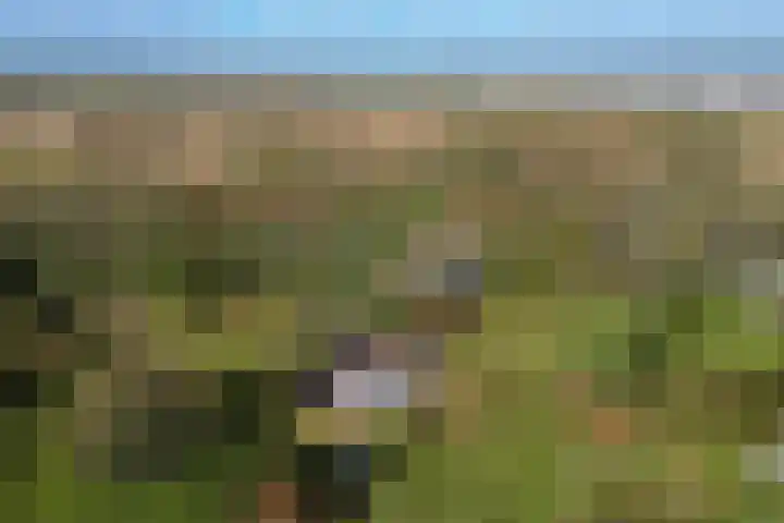 Groenedijk 36 Ouddorp thumbnail 40