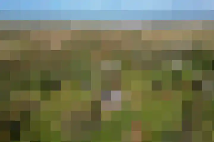 Groenedijk 36 Ouddorp thumbnail 41