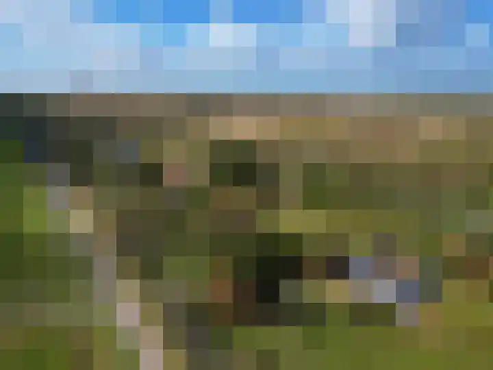 Groenedijk 36 Ouddorp thumbnail 42