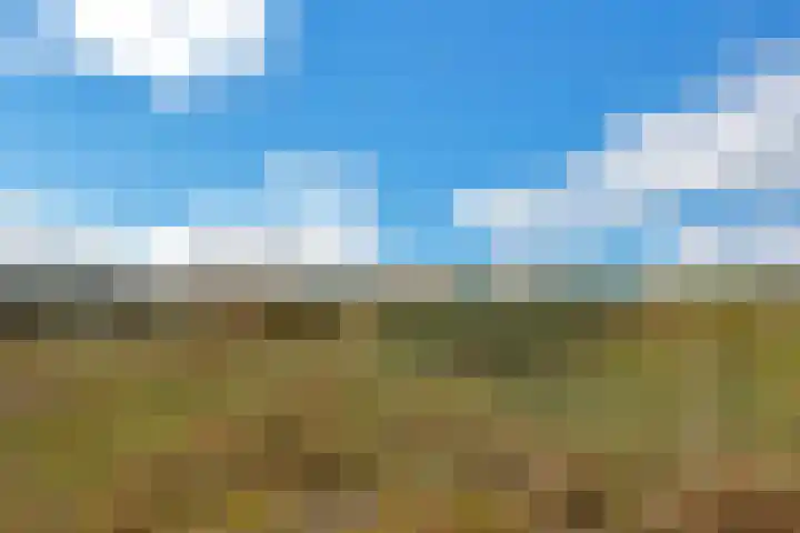 Groenedijk 36 Ouddorp thumbnail 43