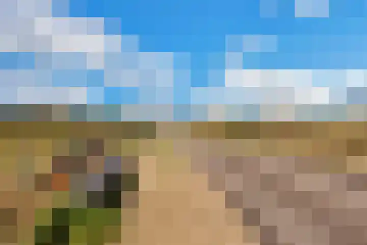 Groenedijk 36 Ouddorp thumbnail 45
