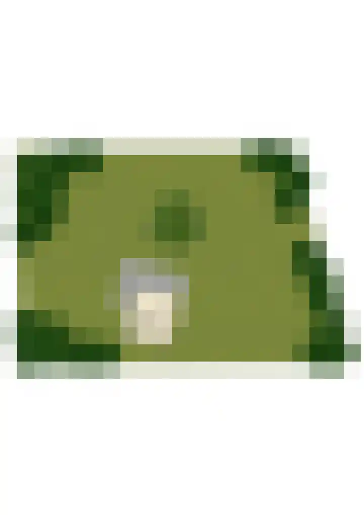 Groenedijk 36 Ouddorp thumbnail 50