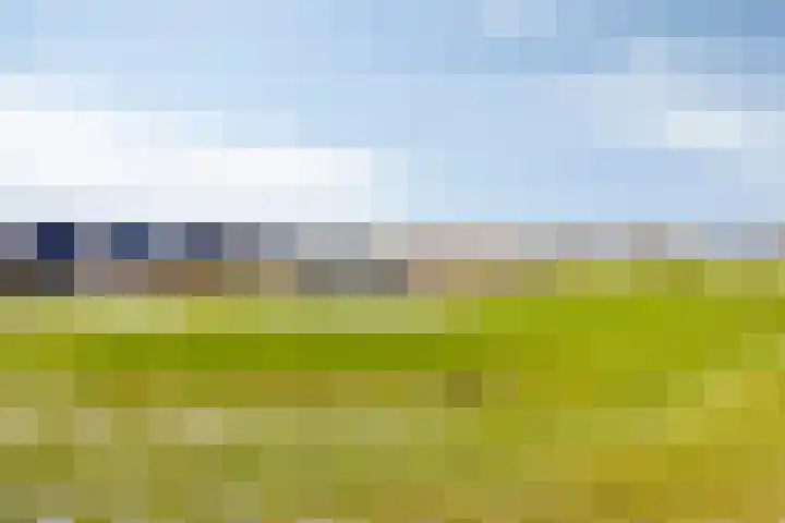 Groenendaal 58 Lelystad thumbnail 39