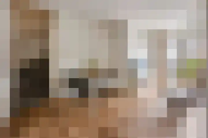 Logo van Groenendael Makelaardij B.V. Woerden