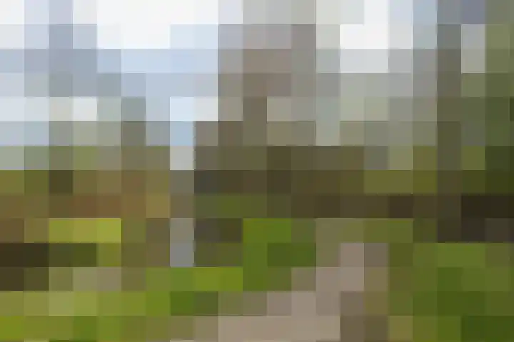 Groenendijk 64 Eindhoven thumbnail 26