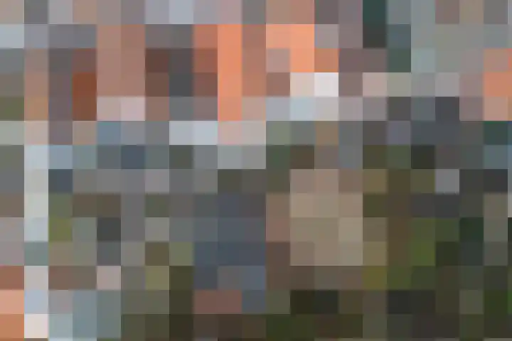 Groenesteeg 36 Leiden thumbnail 4