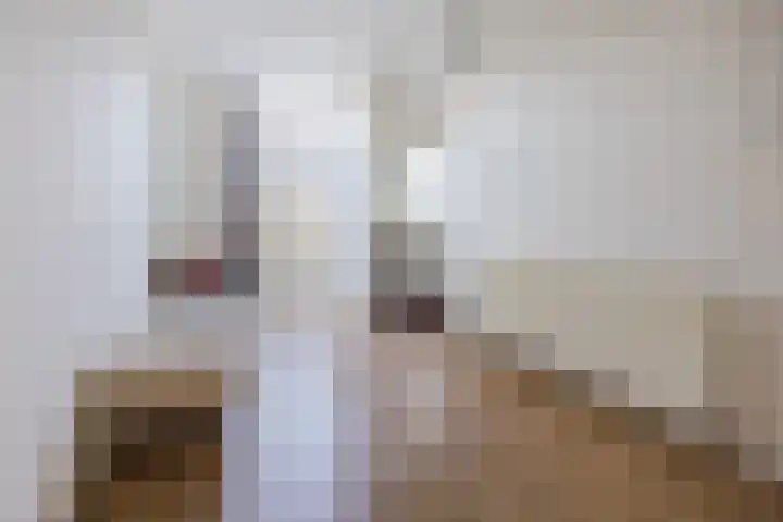 Groenesteeg 36 Leiden thumbnail 7