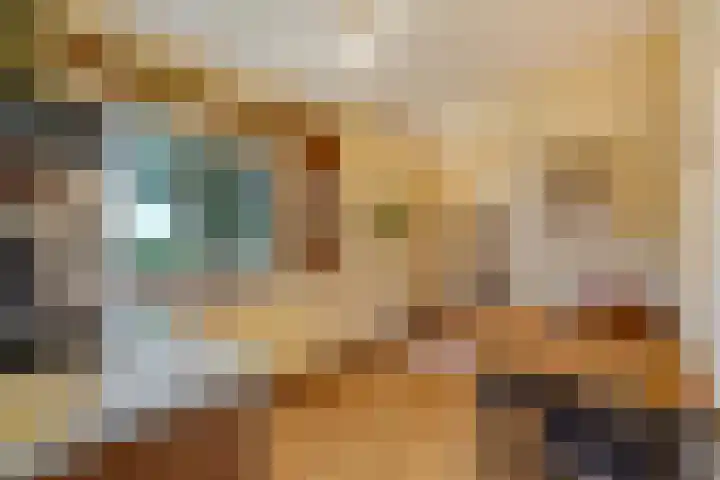 Groeneveld 1 B De Lier thumbnail 14
