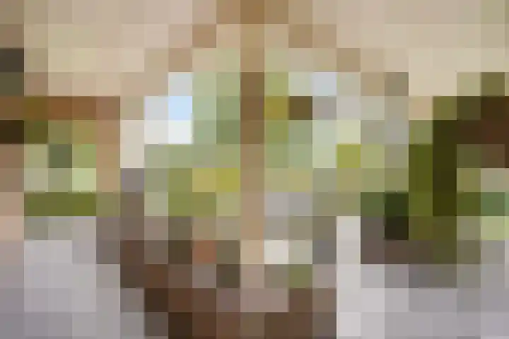 Groeneveld 1 B De Lier thumbnail 29
