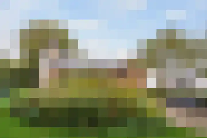 Groeneveld 1 B De Lier thumbnail 32