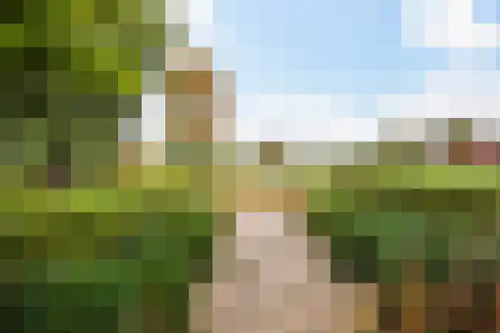 Groeneveld 1 B De Lier thumbnail 35