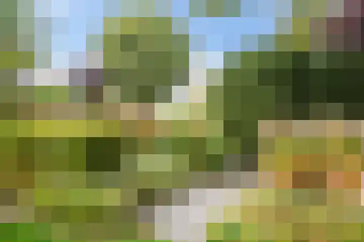 Groeneveld 1 B De Lier thumbnail 38