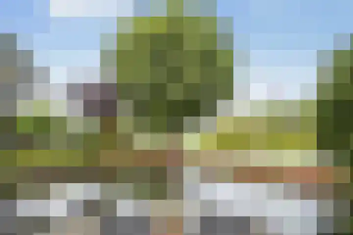 Groeneveld 1 B De Lier thumbnail 40