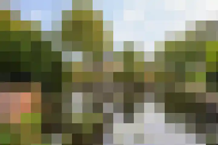 Groeneveld 1 B De Lier thumbnail 46