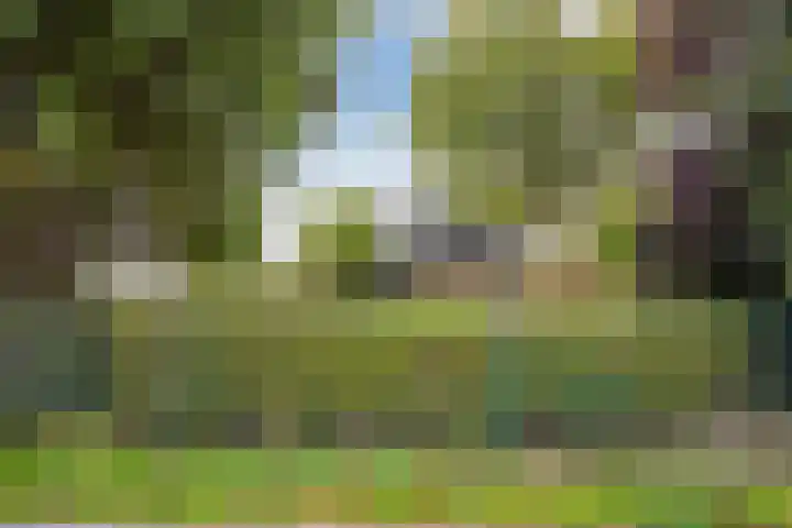 Groeneveld 1 B De Lier thumbnail 47