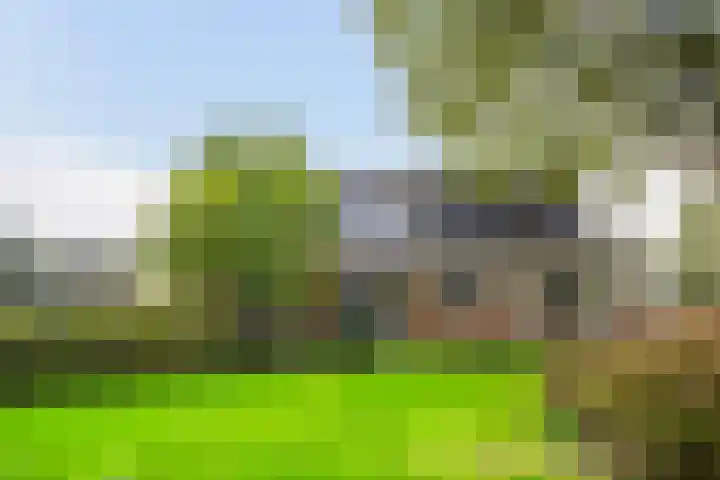 Groeneveld 1 B De Lier thumbnail 51