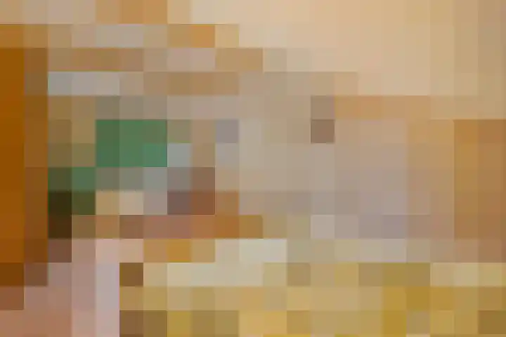 Groeneveld 1 B De Lier thumbnail 59