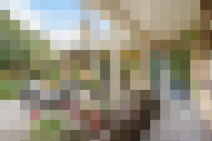 Groeneveld 1 B De Lier thumbnail 6