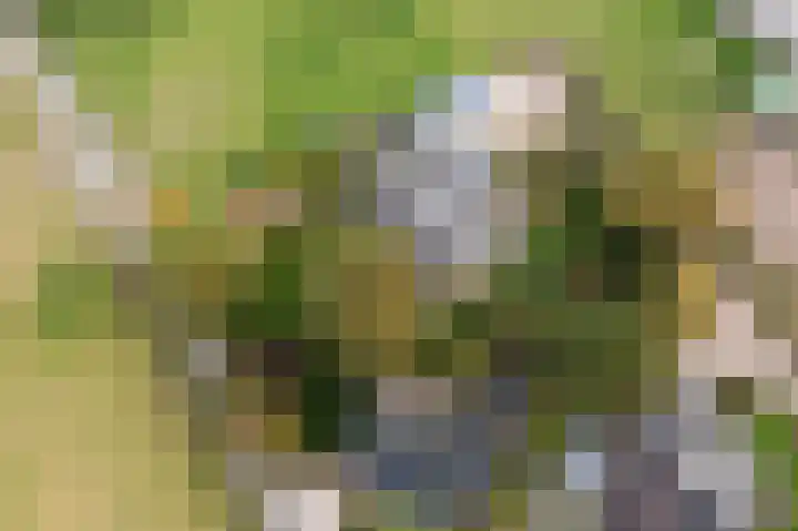 Groeneveld 1 B De Lier thumbnail 70