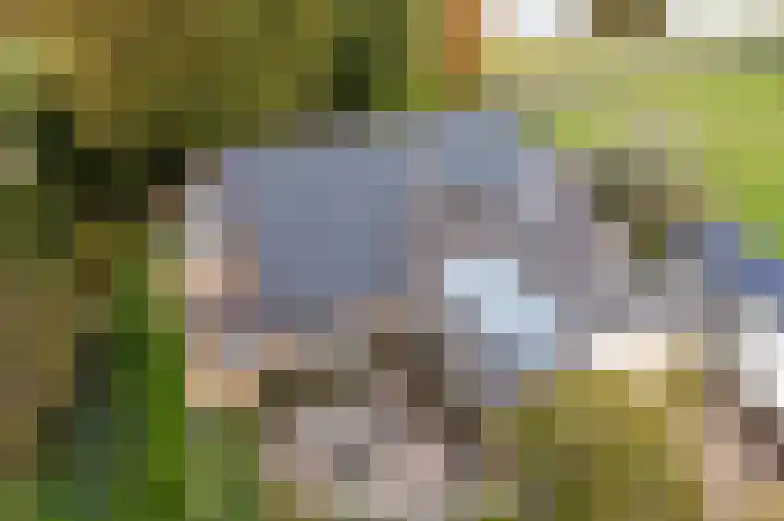 Groeneveld 1 B De Lier thumbnail 72