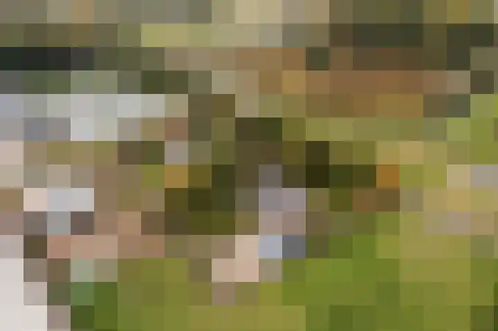 Groeneveld 1 B De Lier thumbnail 74