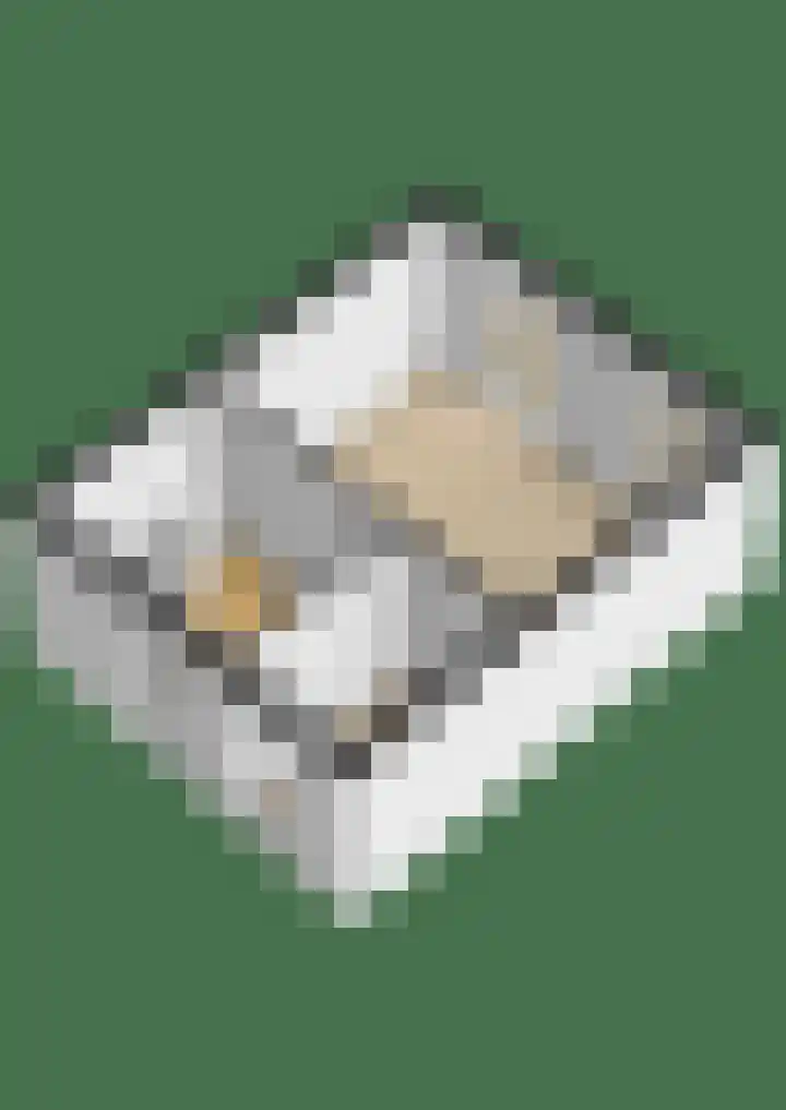 Groeneveld 18 Delft thumbnail 21