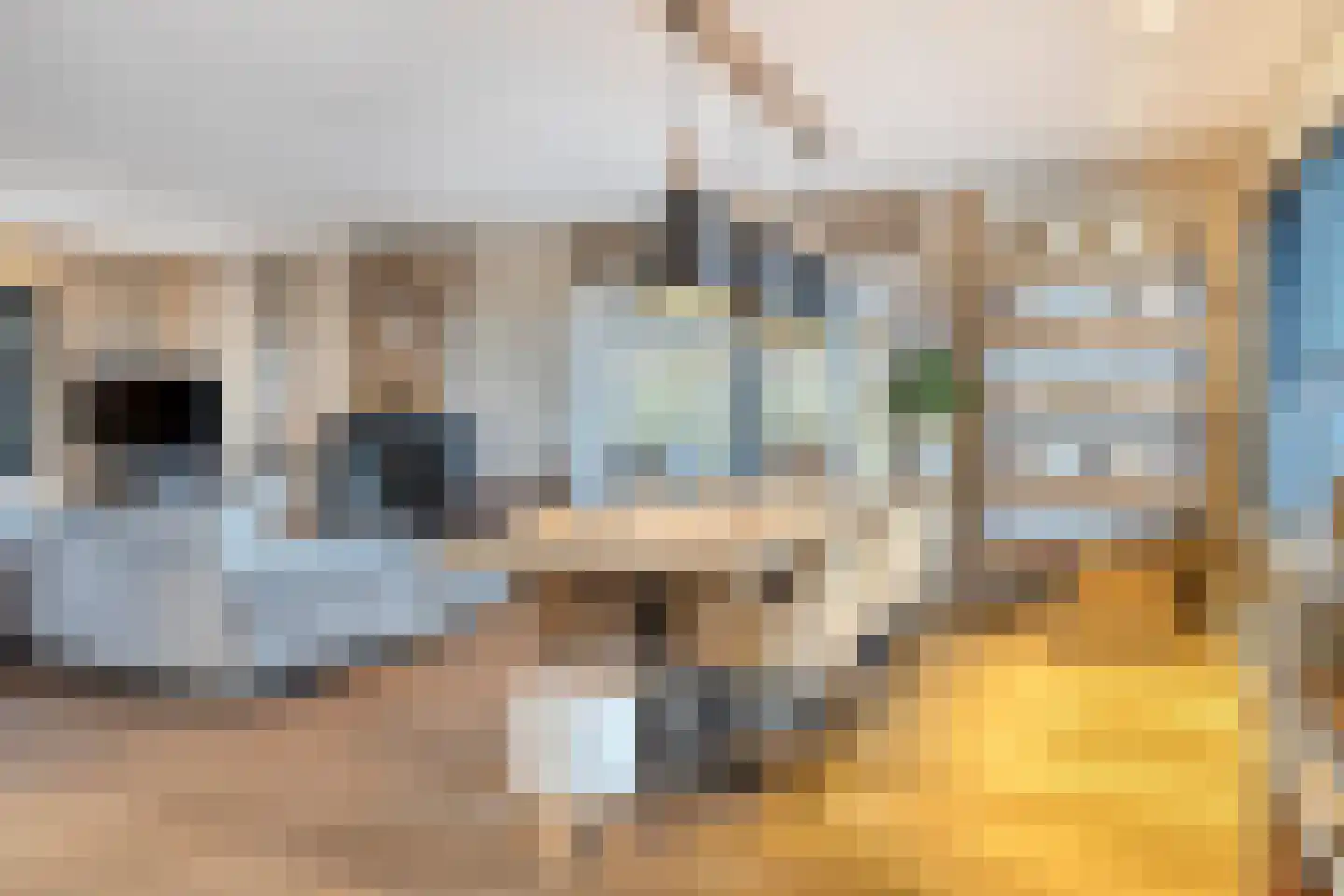 Groenevelt 12 Sluis thumbnail 14
