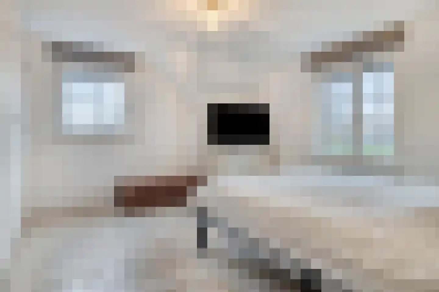 Groenevelt 12 Sluis thumbnail 23