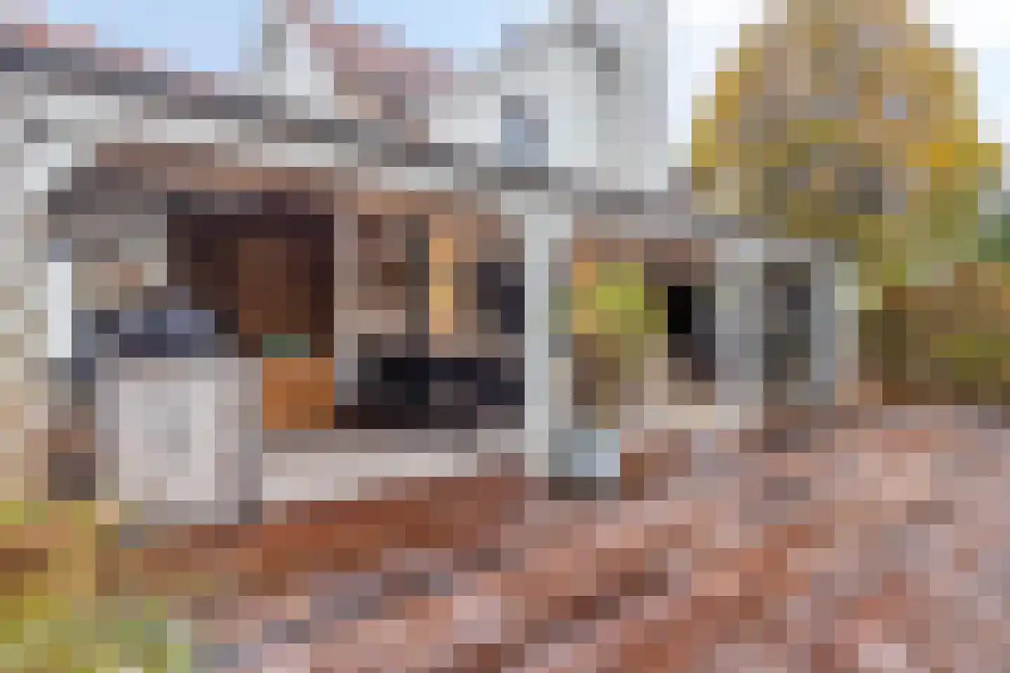 Groenevelt 12 Sluis thumbnail 37