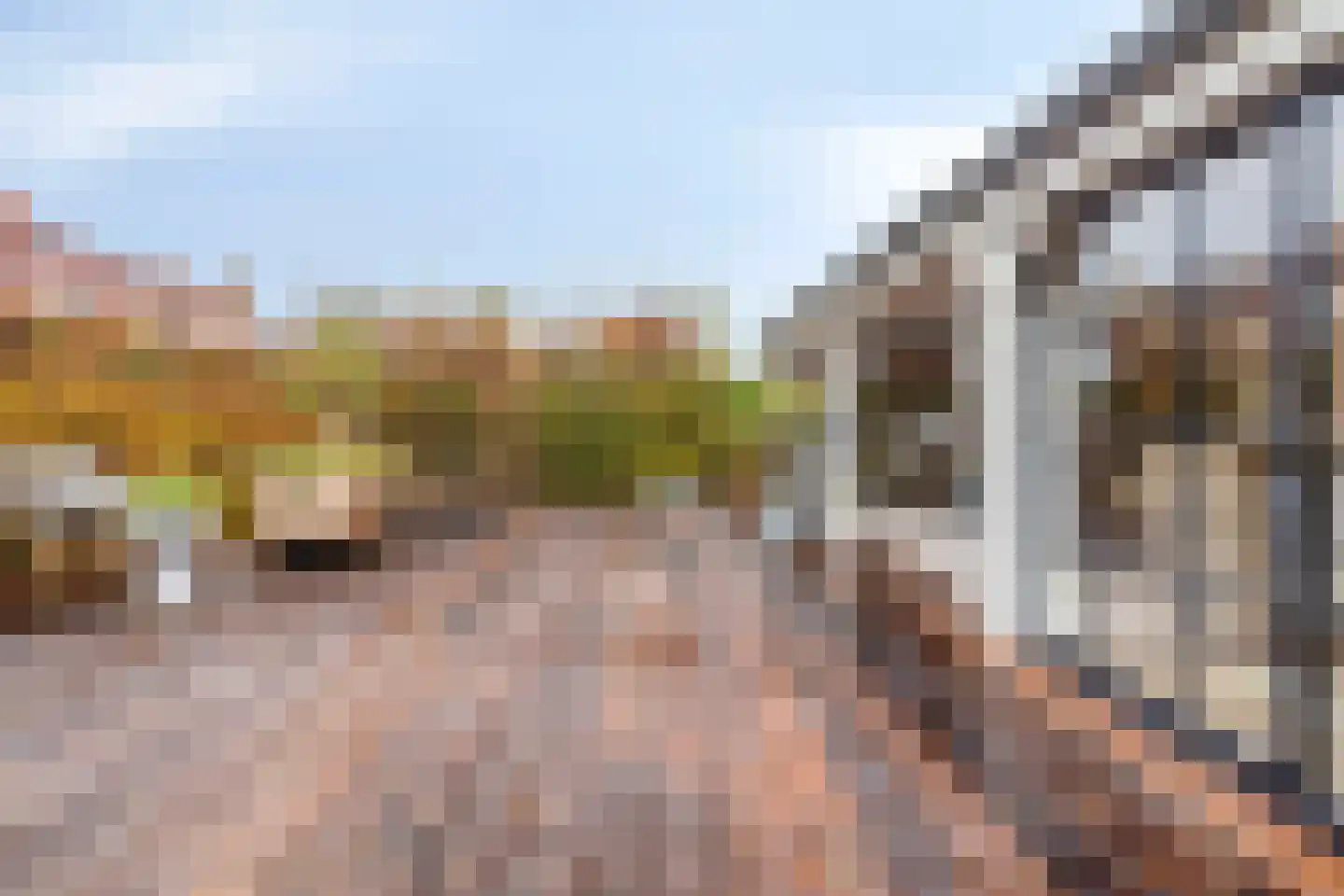 Groenevelt 12 Sluis thumbnail 38