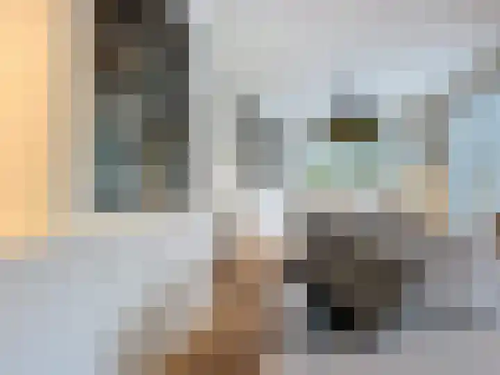 Groenevelt 27 Sluis thumbnail 18