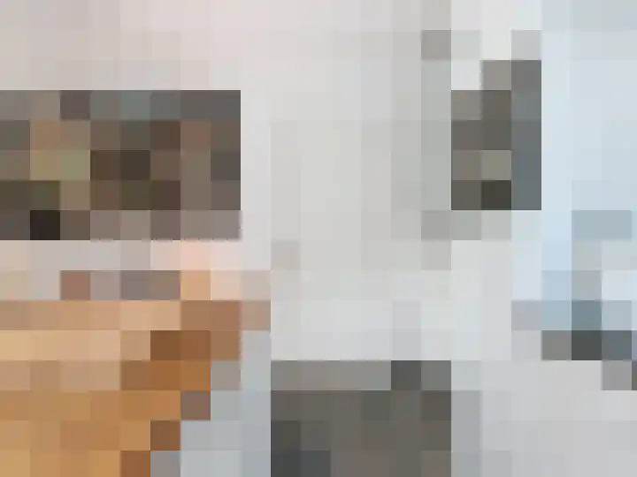 Groenevelt 27 Sluis thumbnail 21