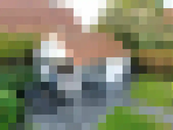 Groenevelt 27 Sluis thumbnail 47