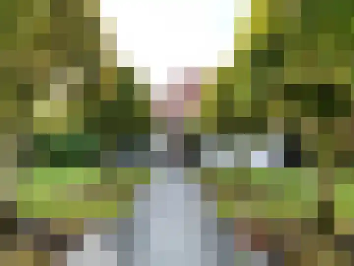 Groenevelt 27 Sluis thumbnail 48