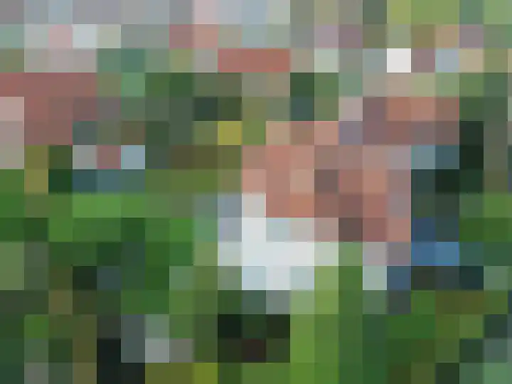 Groenevelt 27 Sluis thumbnail 49