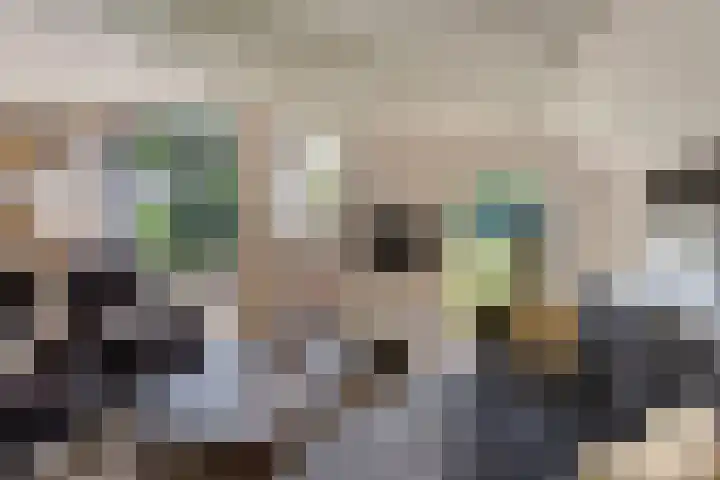 Groeneweg 11 Hummelo thumbnail 12