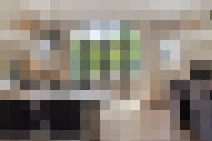 Groeneweg 11 Hummelo thumbnail 13