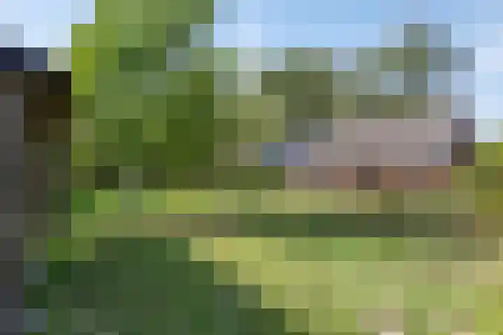 Groeneweg 11 Hummelo thumbnail 44