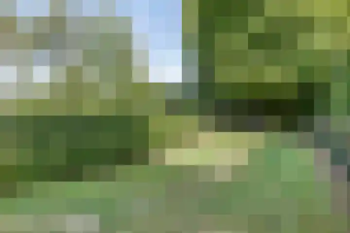 Groeneweg 11 Hummelo thumbnail 66