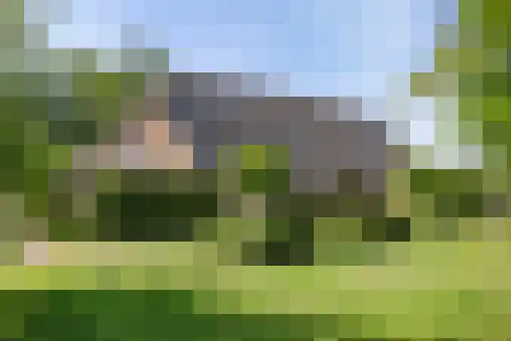 Groeneweg 11 Hummelo thumbnail 7
