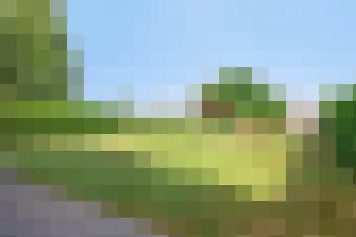 Groeneweg 2 b Heerde thumbnail 40