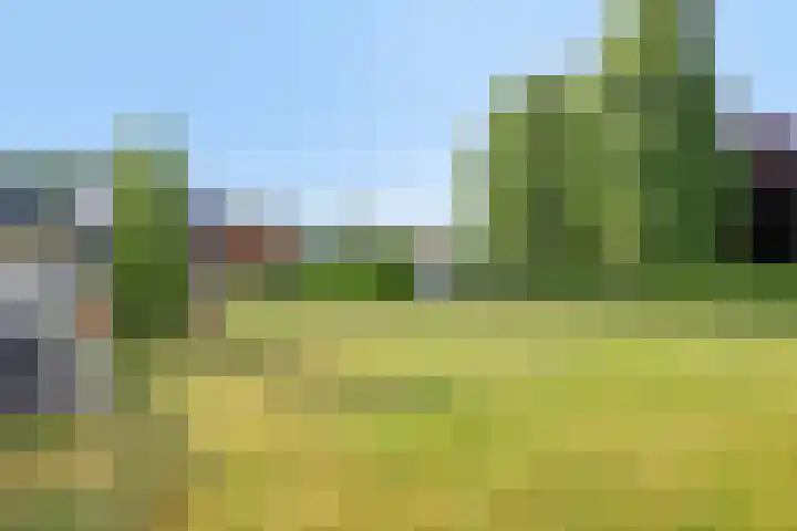 Groeneweg 2 b Heerde thumbnail 48