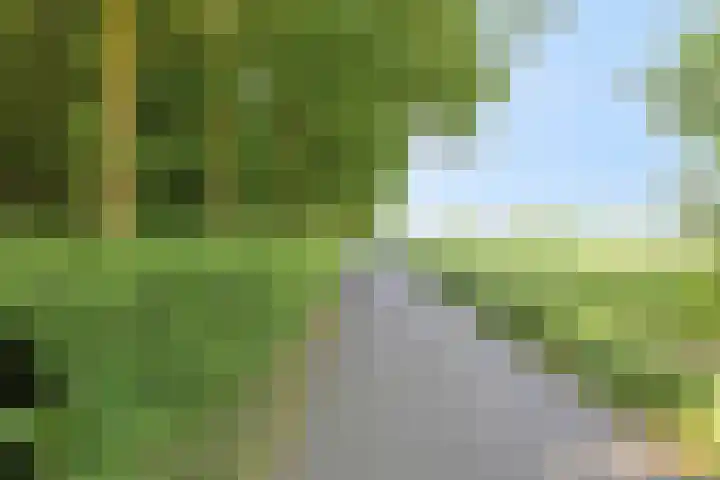 Groeneweg 2 b Heerde thumbnail 61