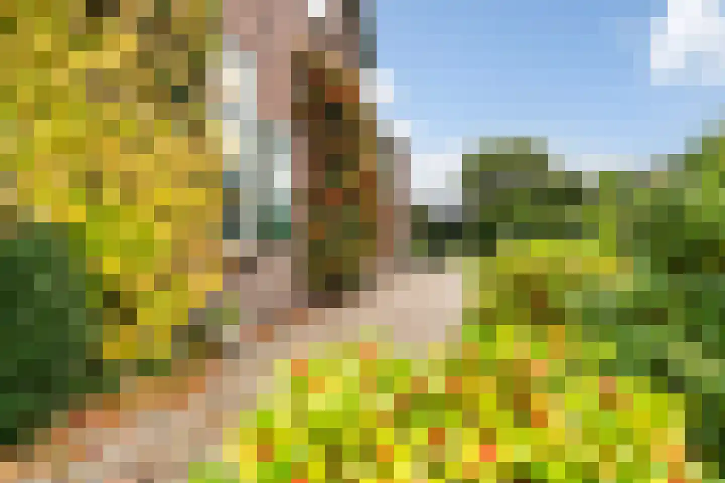 Groeneweg 23 Ermelo thumbnail 39