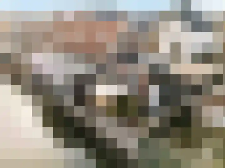 Groeneweg 24 Numansdorp thumbnail 27