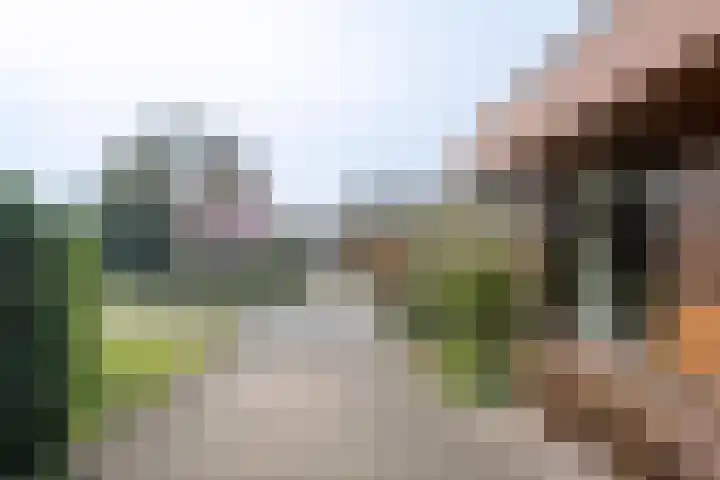 Groeneweg 29 Eerbeek thumbnail 27