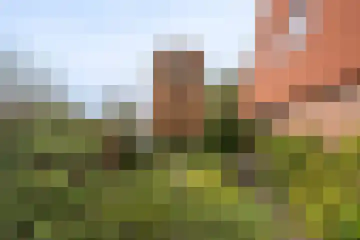 Groeneweg 29 Eerbeek thumbnail 28